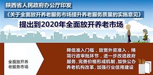 陜西省人民政府辦公廳關(guān)于全面放開養(yǎng)老服務(wù)市場提升養(yǎng)老服務(wù)質(zhì)量的實施意見