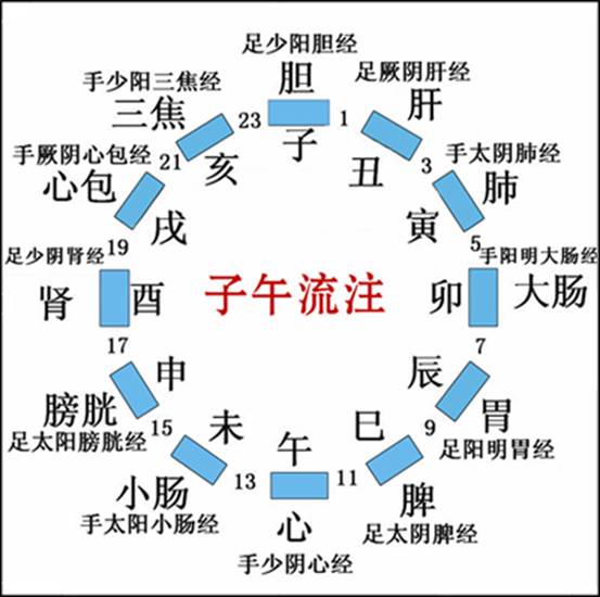 十二經(jīng)脈、任脈、督脈運(yùn)行動(dòng)態(tài)圖